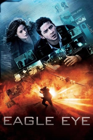 Eagle Eye (2008) Hindi Dual Audio 480p BluRay 330MB ESubs