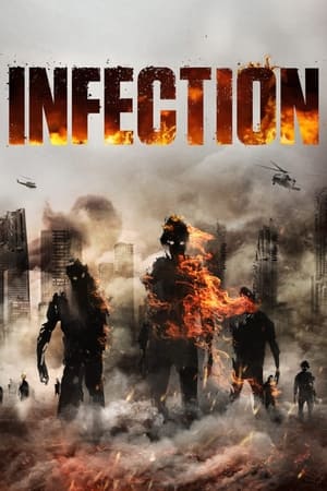 Infection (2019) Hindi Dual Audio 720p BluRay [1GB]